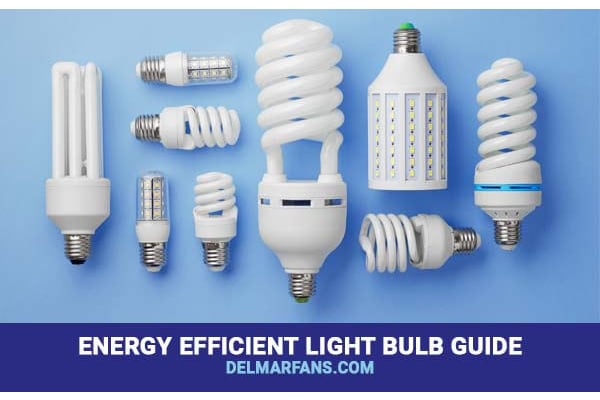 Comparison Energy-Efficient Bulbs DelMarFans.com | DelMarFans.com