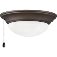 Hinkley 930003FMM Light Kit