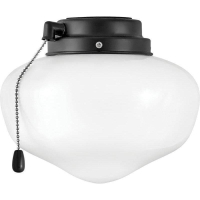 Hinkley 930008FMB Light Kit