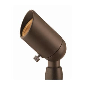 Landscape Accent Lighting