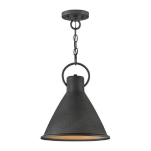 3557DZ Winnie 1-Light Pendant 