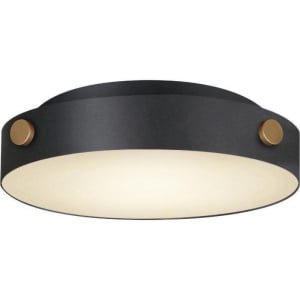 42129BKAB Rivet 1-Light LED Outdoor Flush Mount