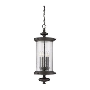 5-1225-40 Palmer 4-Light Outdoor Pendant