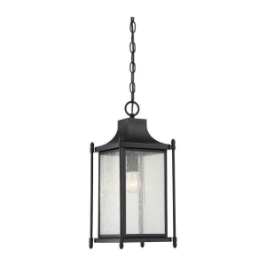 5-3455-BK Dunnmore 1-Light Outdoor Pendant