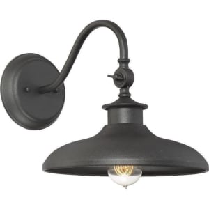 5-9584-BK Raliegh 1-Light Outdoor Wall Sconce