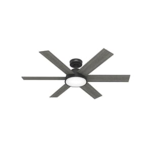 Hunter Donatella 51853