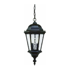 5516MM Telfair 2-Light Outdoor Pendant