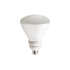 Bulbrite 860455 R40 Light Bulb, 2-Pack