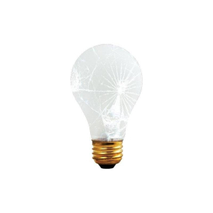 Bulbrite 860872 A19 Light Bulb, 12-Pack