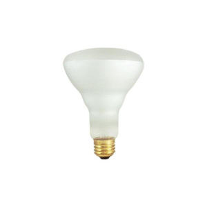 Bulbrite 860881 BR30 Light Bulb, 12-Pack