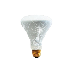 Bulbrite 860885 BR30 Light Bulb, 6-Pack