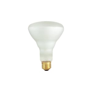 Bulbrite 860886 BR30 Light Bulb, 12-Pack