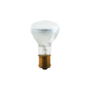 Bulbrite 860897 R12 Light Bulb, 10-Pack