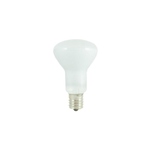 Bulbrite 860903 R16 Light Bulb, 10-Pack
