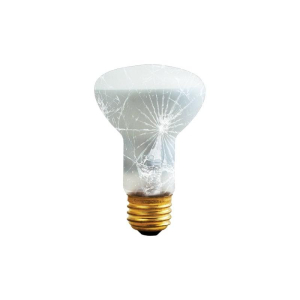 Bulbrite 860909 R20 Light Bulb, 6-Pack