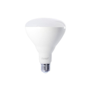 Bulbrite 860939 BR40 Light Bulb, 4-Pack