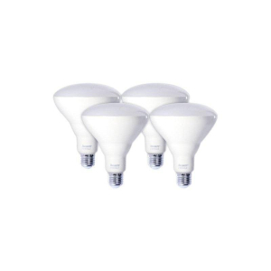 Bulbrite 860941 BR40 Light Bulb, 4-Pack