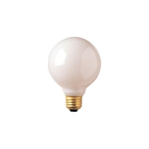 Bulbrite 861030 G25 Light Bulb, 24-Pack