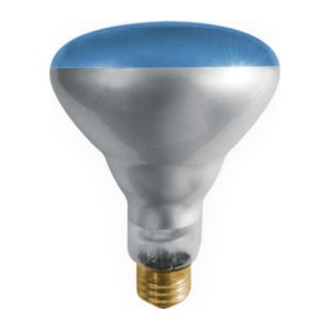 Bulbrite 861293 R30 Light Bulb, 6-Pack