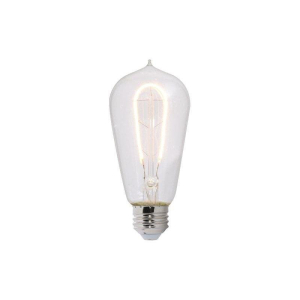 Bulbrite 861572 ST18 Light Bulb, 2-Pack