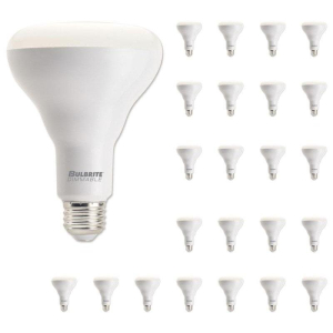 Bulbrite 861689 LED E26