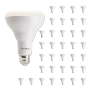 Bulbrite 861691 LED E26