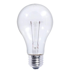 Bulbrite 861944 Incandescent E26