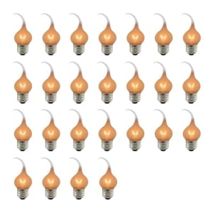 Bulbrite 861969 Incandescent E26