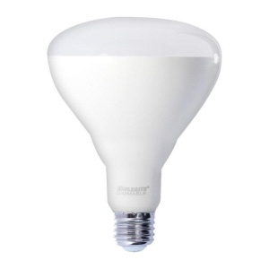 Bulbrite 862802 LED E26
