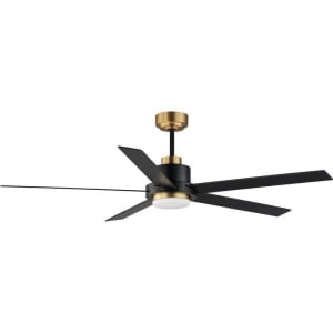 Maxim Daisy 88826BKGLD