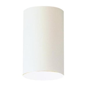 Outdoor Flush Mount Lighting