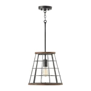 AA1001ZW 1-Light Pendant
