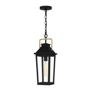 BUK1907MBK Buckley 1-Light Outdoor Pendant