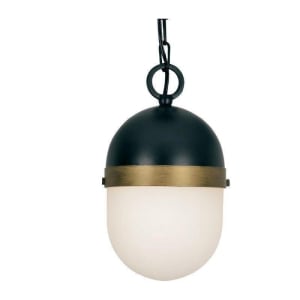 CAP-8505-MK-TG Capsule 1-Light Outdoor Pendant