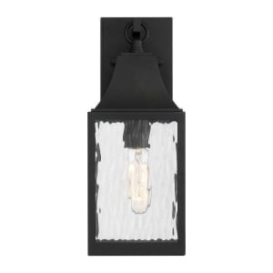 D265M-6EW-BK Blueberry Trail 1-Light 