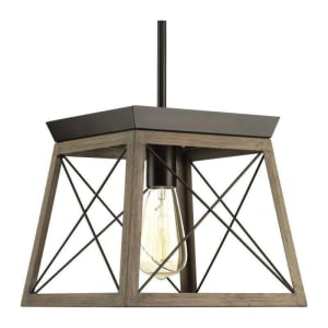 P500041-020 Briarwood 1-Light Pendant
