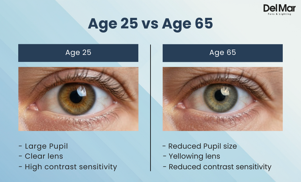 Diagram showing how aging eyes transmit less light and require higher illumination levels