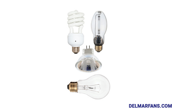 Four Different Types Of Light Bulbs For Many Uses