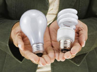 Comparing Light Bulbs Options