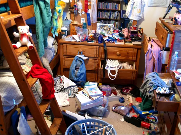 Clutter Is A Big Cleaning Issue Declutter And Organize Your Home